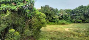 beach property for sale at injambakkam