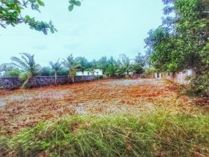 ecr beach property for sale muttu kadu