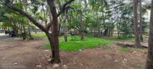 housing plot for sale in neelankarai